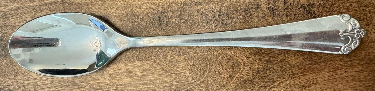 Minya (Stainless) Teaspoon by Cambridge Silver-1