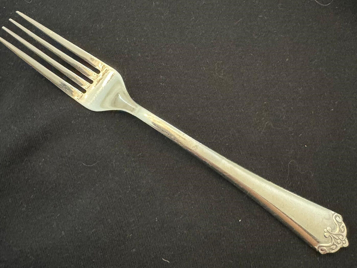 Minya (Stainless) Fork by Cambridge Silver-1