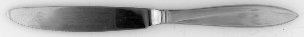 CUI22 (Stainless) Modern Solid Knife by Cuisinart Flatware-1