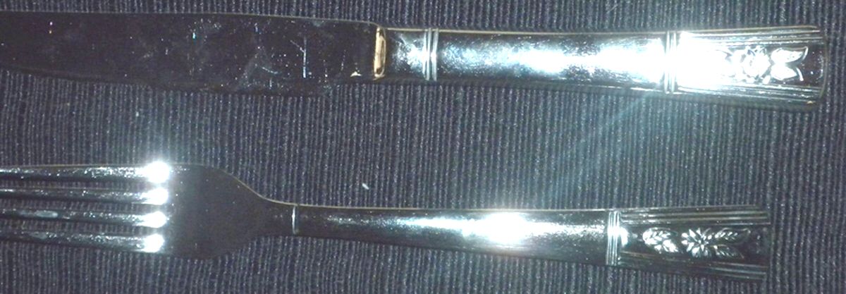C4E1 (Stainless) Fork by Corningware-1