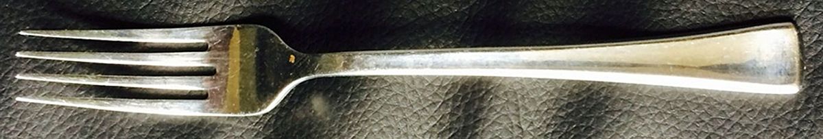 CBS135 (Stainless) Fork by Cambridge Silver-1