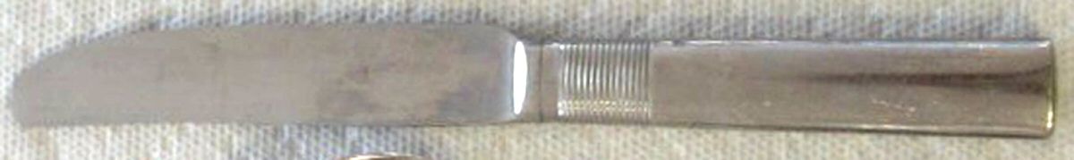 CBF5 (Stainless) Modern Solid Knife by Crate & Barrel Flatware-1