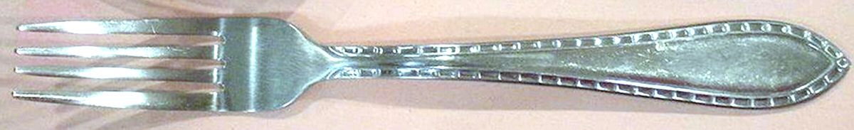 CBS141 (Stainless) Fork by Cambridge Silver-1