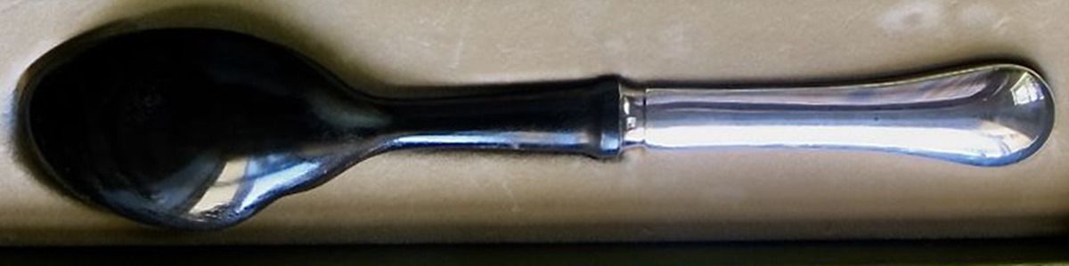 Berry (Silverplate) Caviar Spoon with Sterling Handle and Horn Blade by Christofle France-1