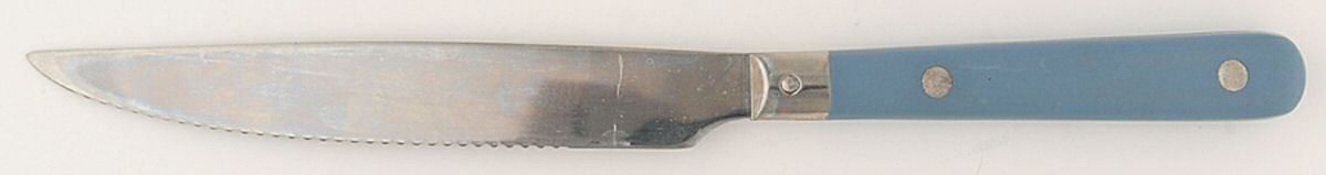 CLF45 (Stainless) Individual Steak Knife Hollow Handle by The Cellar(Flatware)-1