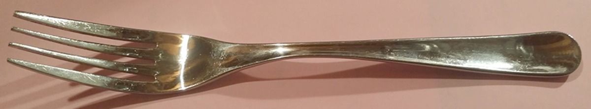 Hazel Mirror (Stainless) Fork by Cambridge Silver-1