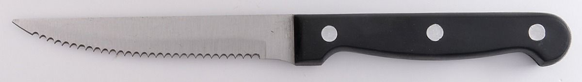 Sand Script (Stainless) Plastic Handle Individual Steak Knife by Cambridge Silver-1