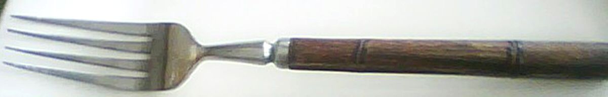 CSS44 (Stainless) Fork by Continental Silver-1