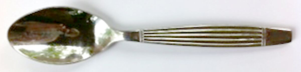 CUI25 (Stainless) Teaspoon by Cuisinart Flatware-1