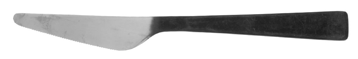 Welcome (Stainless) New French Solid Knife by Crate & Barrel Flatware-1