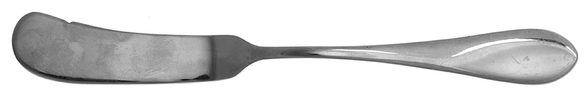 Irais (Stainless) Flat Handle Master Butter Knife by Cuisinart Flatware-1