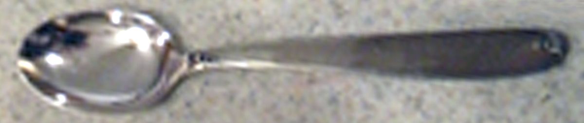 C2E4(Stainless) Teaspoon by Carl Eickhorn-1
