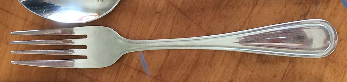 CBS169 (Stainless) Fork by Cambridge Silver-1