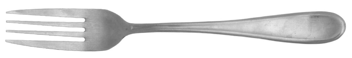 Malibu Satin (Stainless) Fork by Cambridge Silver-1