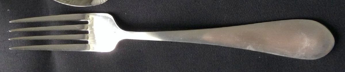 CUI26 (Stainless) Fork by Cuisinart Flatware-1