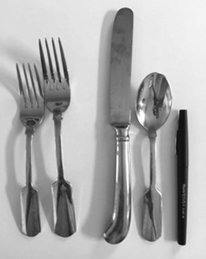 CBS180 (Stainless) Fork by Cambridge Silver-1