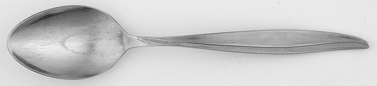 CSM63 (Stainless) Teaspoon by Cosmos Products Company-1