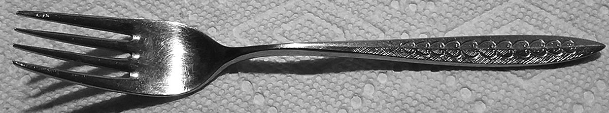 CSM50 (Stainless) Fork by Cosmos Products Company-1