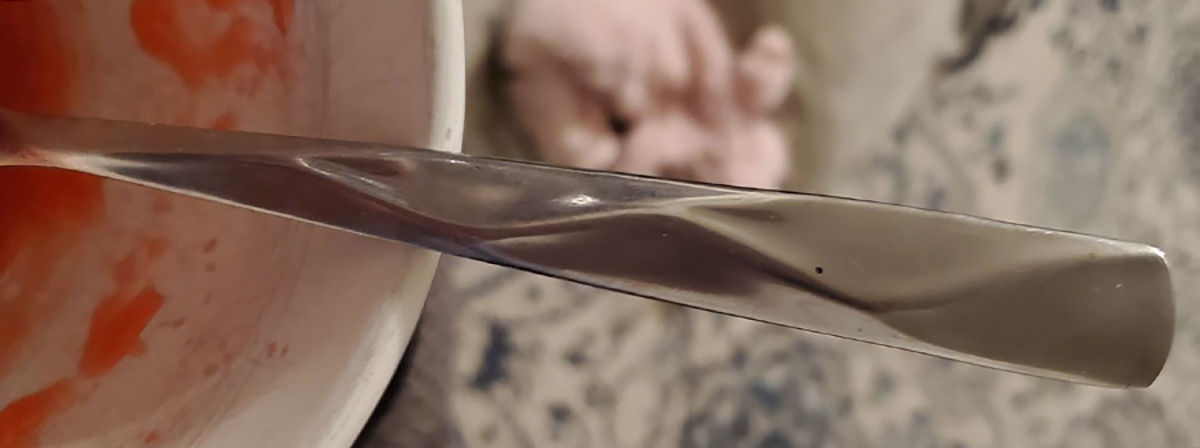Lilette (Stainless) Fork by Cambridge Silver-1