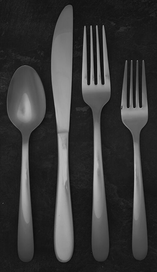 Haledon (Stainless) 4 Piece Place Setting by Cambridge Silver-1