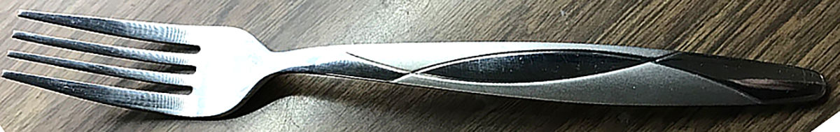 Swoon Sand Stainless Fork by Cambridge Silver-1