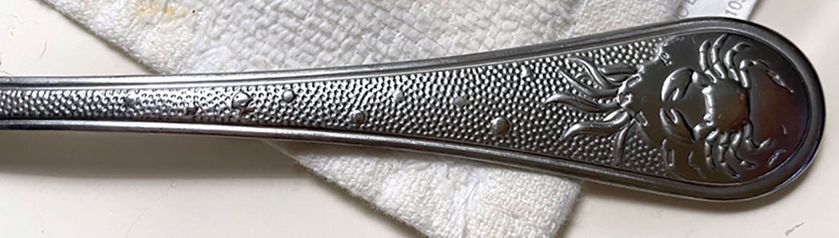 Marine Life (Stainless) Teaspoon by Cambridge Silver-1
