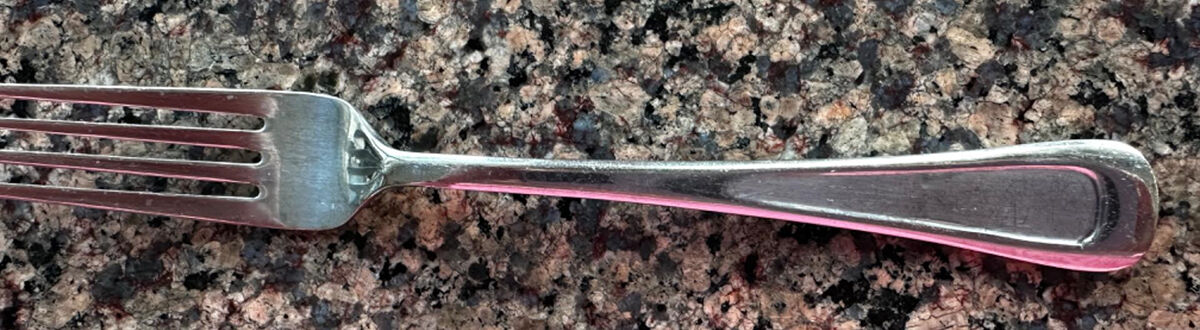 CBS229 (Stainless) Fork by Cambridge Silver-1