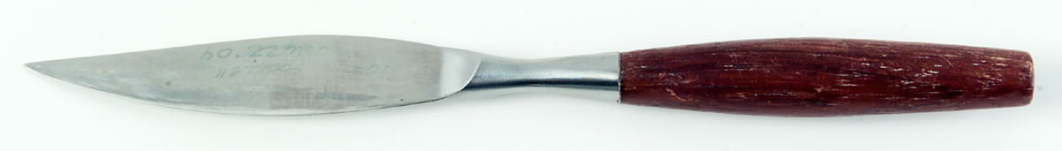 Fjord (Stainless, Germany) Individual Fruit Knife with Stainless Blade by Dansk-1