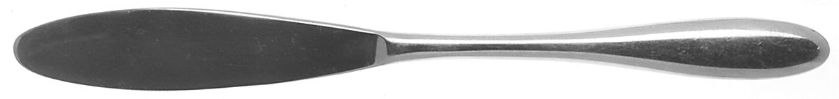 Liisa (Stainless) Modern Hollow Butter Spreader (Stainless) by Dansk-1