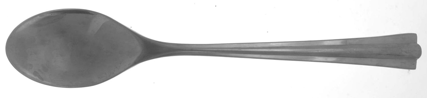 Skal (Stainless) Solid Serving Spoon by Dansk-1