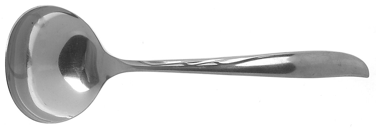 DCS2 (STAINLESS) Solid Gravy Ladle by Duchess-1
