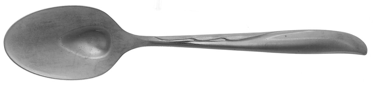 DCS2 (STAINLESS) Teaspoon by Duchess-1