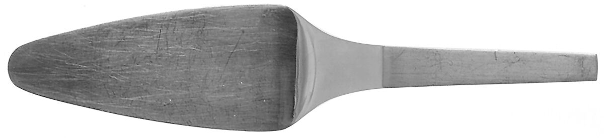 Picasso (Stainless, Satin) All Stainless Pie Server by Dalia-1