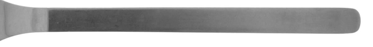 DNS1 (STAINLESS) Fork by Dana Stainless-1