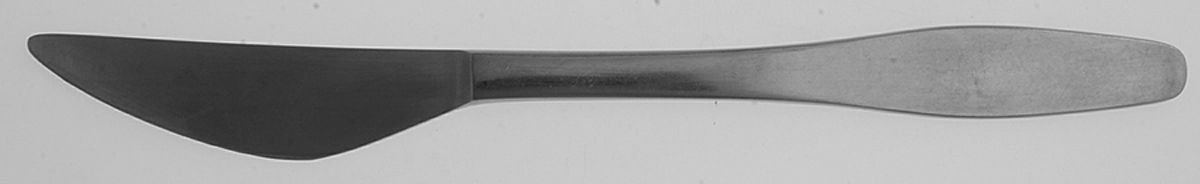 DNS3 (STAINLESS) Individual Solid Handle Steak Knife by Dana Stainless-1