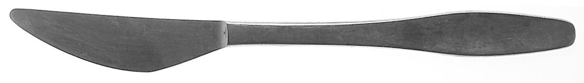 DNS3 (STAINLESS) Modern Solid Knife by Dana Stainless-1