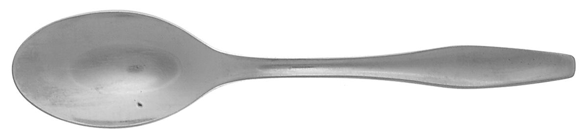 DNS3 (STAINLESS) Teaspoon by Dana Stainless-1