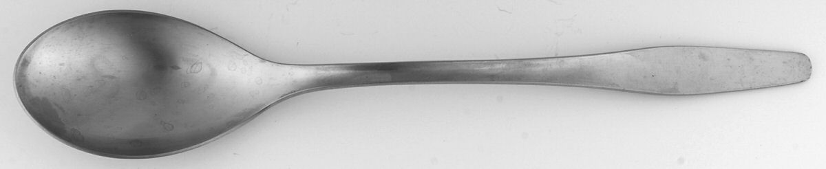 DNS3 (STAINLESS) Solid Salad Serving Spoon by Dana Stainless-1
