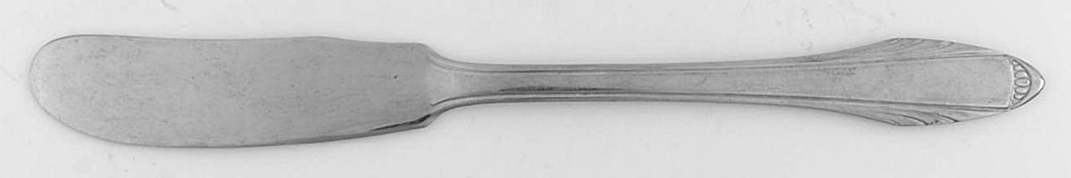DSC2 (STAINLESS) Flat Handle Butter Spreader by Diamond Silver Co-1