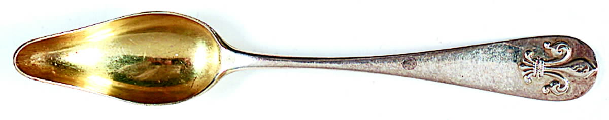 Fleur De Lis (Sterling, 1886) Fruit/Orange Spoon by Durgin-1