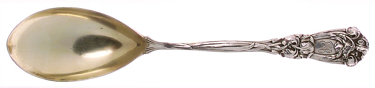Iris (Sterling, 1900, No Monograms) Solid Serving Spoon by Durgin-1