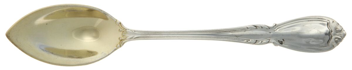 Wellington (Sterling, 1908) Fruit/Orange Spoon by Durgin-1