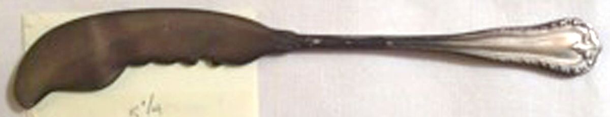 Acanthus (Sterling, 1897) Flat Handle Master Butter Knife by Dominick & Haff-1