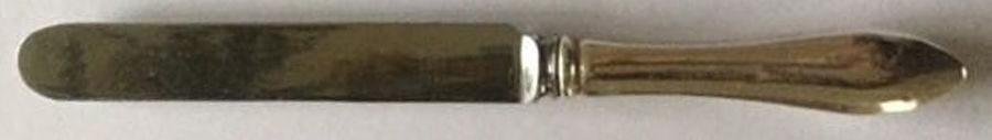 Broad Antique (Sterling, 1890) Blunt Hollow Knife by Dominick & Haff-1