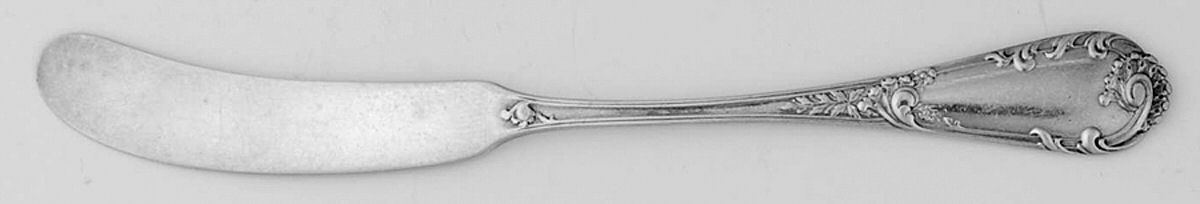 Louis XIV-Old Style (Sterling, 1888) Flat Handle Butter Spreader by Dominick & Haff-1