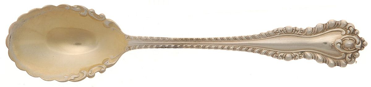Mazarin (Sterling, 1892, No Monograms) Ice Cream Spoon Individual by Dominick & Haff-1