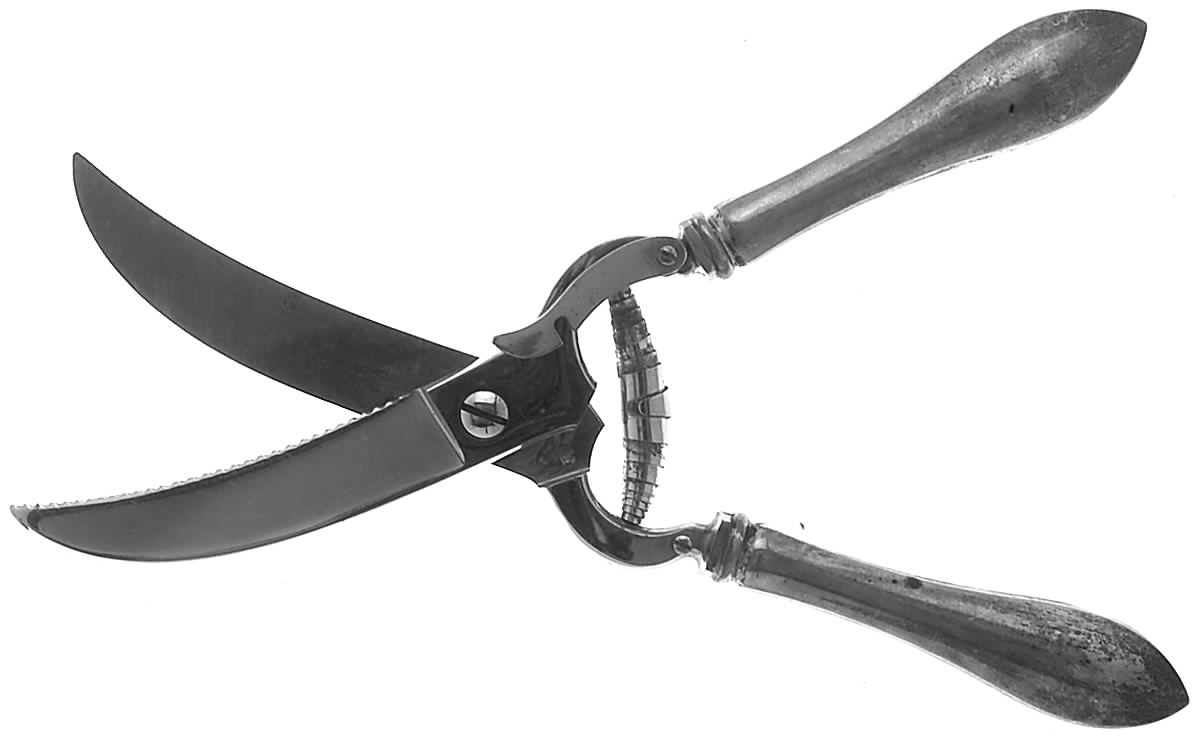 Pointed Antique (Sterling) Poultry Shears with Stainless Blades by Dominick & Haff-1