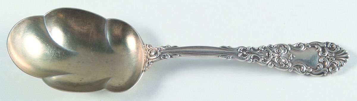 Renaissance (Sterling, 1894) Preserve Spoon by Dominick & Haff-1