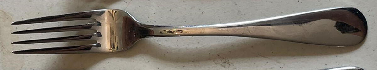 Silhouette (Stainless) Fork by Dansk-1
