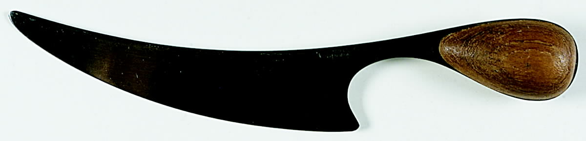 DAS21 Wood Accent (STAINLESS) Fish Serving Knife w/Unengraved Stainless Blade by Dansk-1